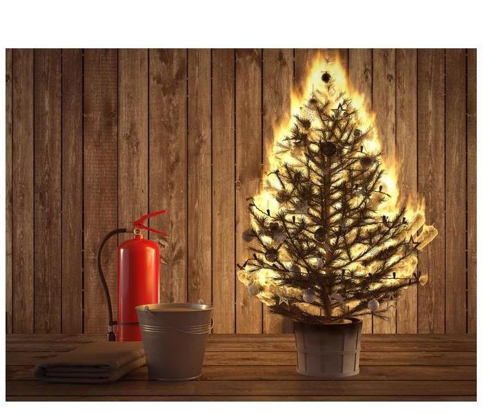 A Christmas tree and fire extinguisher