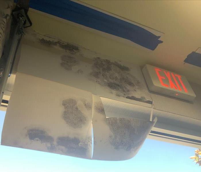 Mold Damage near the ceiling of of a commercial location, next to the exit sign.