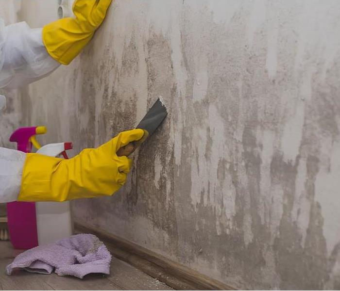 A worker cleaning mold.