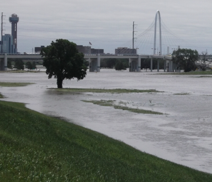 Dallas Skyline with Flood